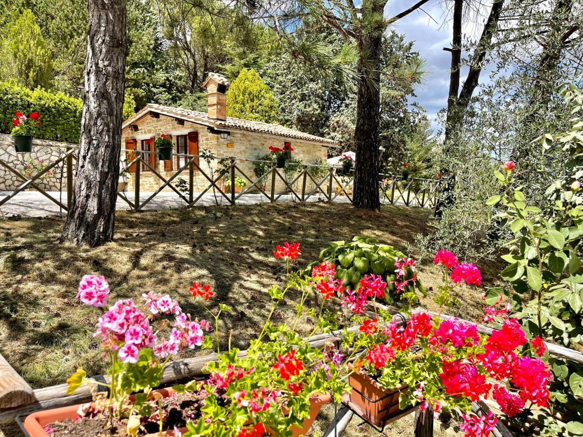 La Panoramica Gubbio - Maison De Charme - Casette E Appartamenti Self Catering Per Vacanze Meravigliose! Exterior photo