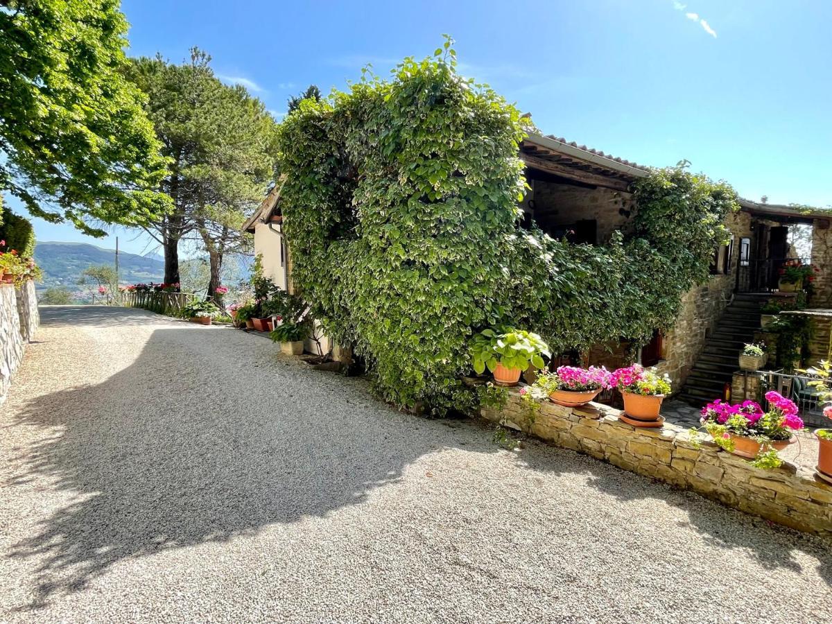 La Panoramica Gubbio - Maison De Charme - Casette E Appartamenti Self Catering Per Vacanze Meravigliose! Exterior photo