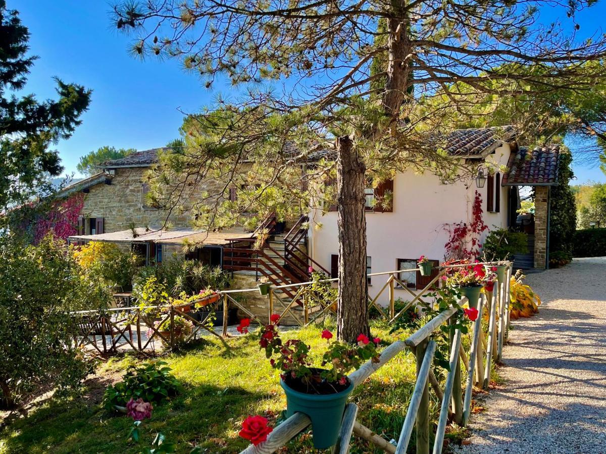 La Panoramica Gubbio - Maison De Charme - Casette E Appartamenti Self Catering Per Vacanze Meravigliose! Exterior photo