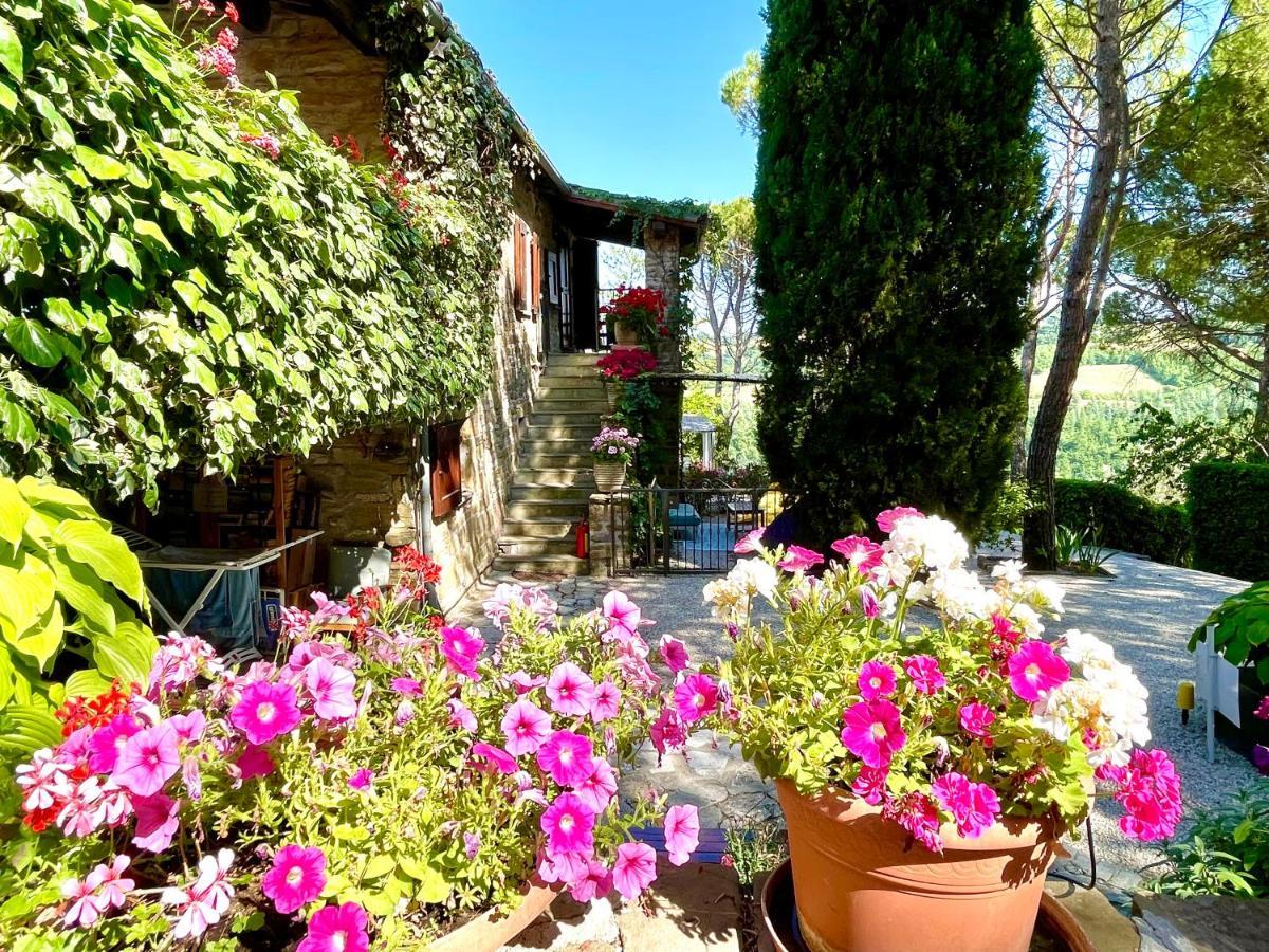 La Panoramica Gubbio - Maison De Charme - Casette E Appartamenti Self Catering Per Vacanze Meravigliose! Exterior photo